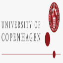 International PhD Fellowships in Astrophysics, Denmark